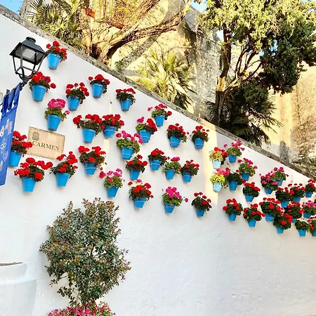 The Center - Eaw Homes Apartment Marbella